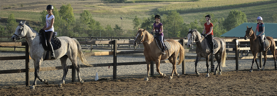 Horse camps for children