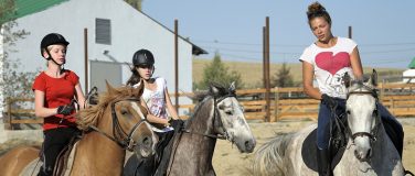 Riding lessons for adults and children