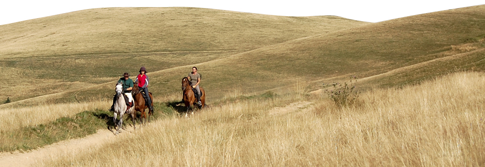 “Villages of Transylvania” Horse riding vacation